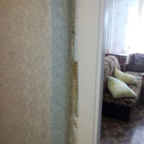 Уничтожение клопов в квартире с гарантией Владивосток