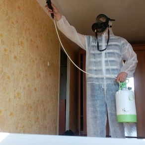 Уничтожение тараканов в квартире – цена во Владивостоке