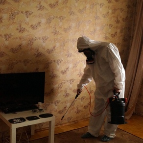 Уничтожение тараканов вызов на дом. Владивосток