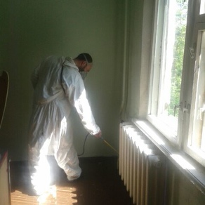 Уничтожить тараканов в квартире во Владивостоке