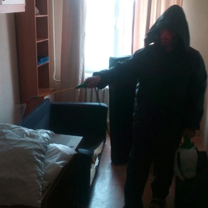 Выведение тараканов в квартире с гарантией во Владивостоке
