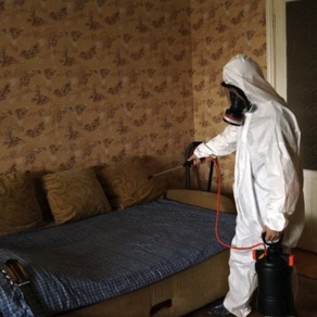 Уничтожение насекомых в доме. Владивосток
