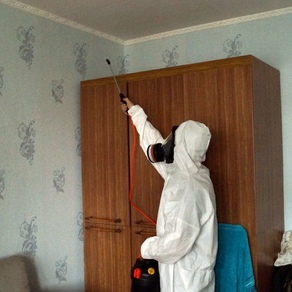 Выведение постельных клопов в домашних условиях – Владивосток